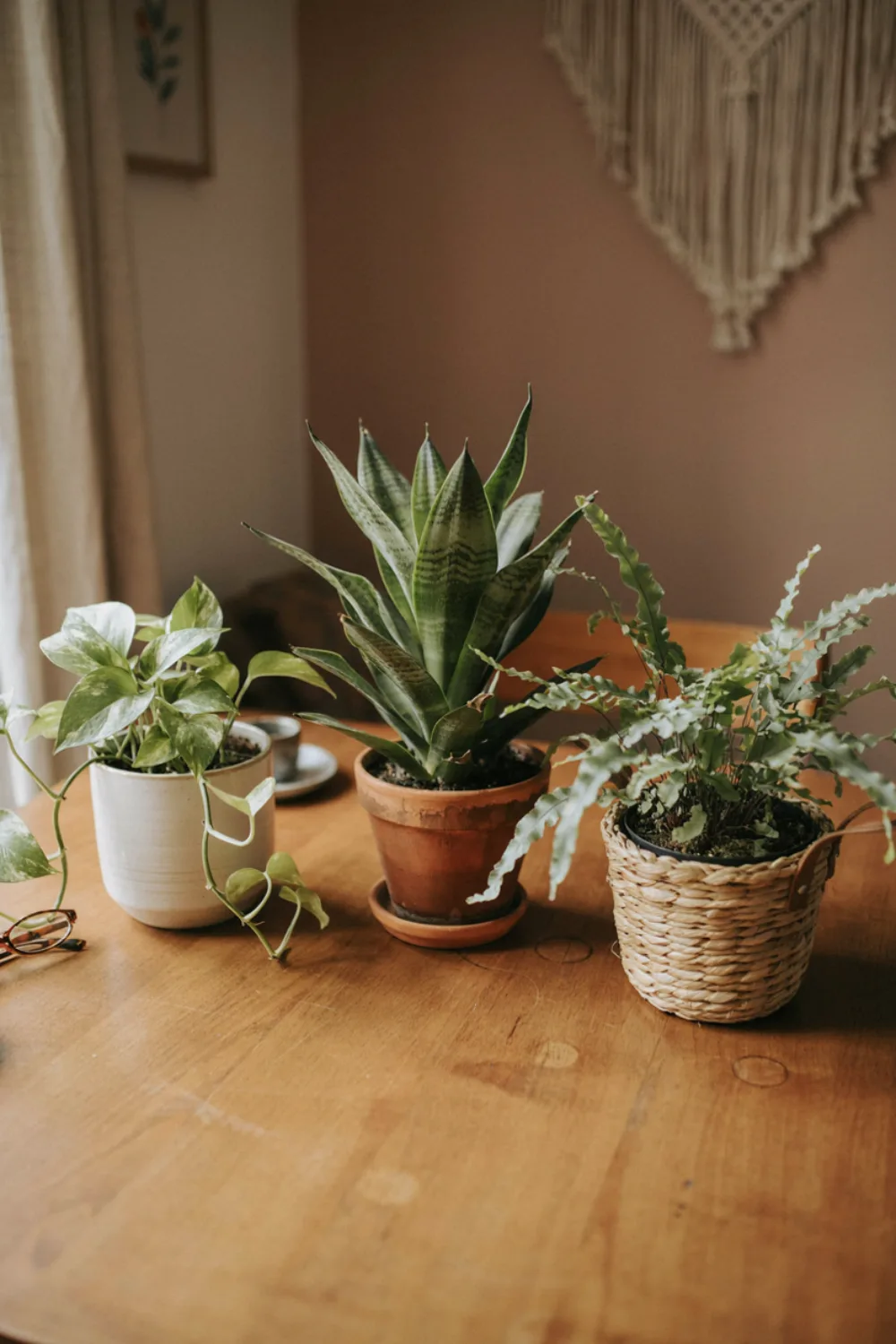 Cozy boho home office nook: keep a Trio of Plants on the Desk