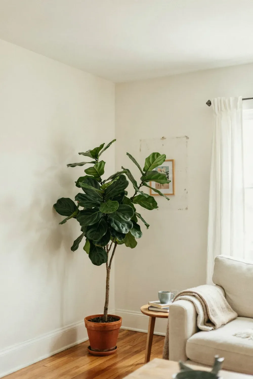 Small bright living room: draw the Eye Up With One Tall Plant